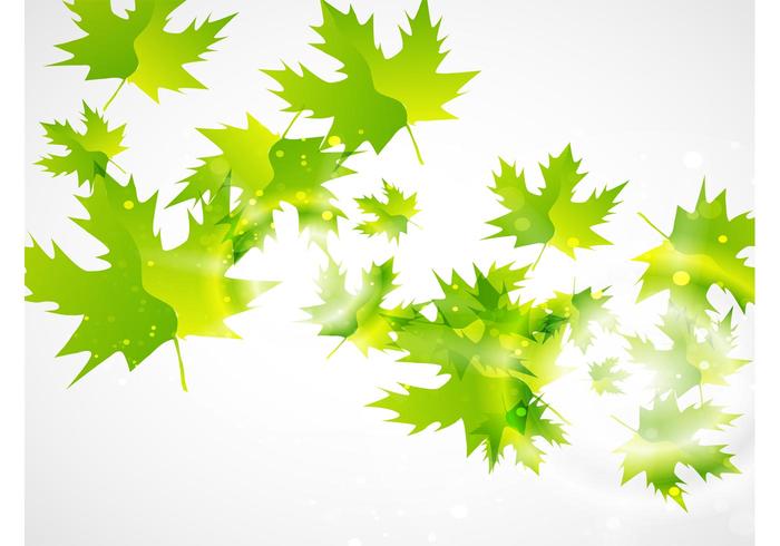 Green Leaf Vector Background Green Leaf Vector Background