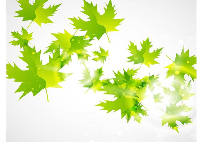 Green Leaf Vector Background