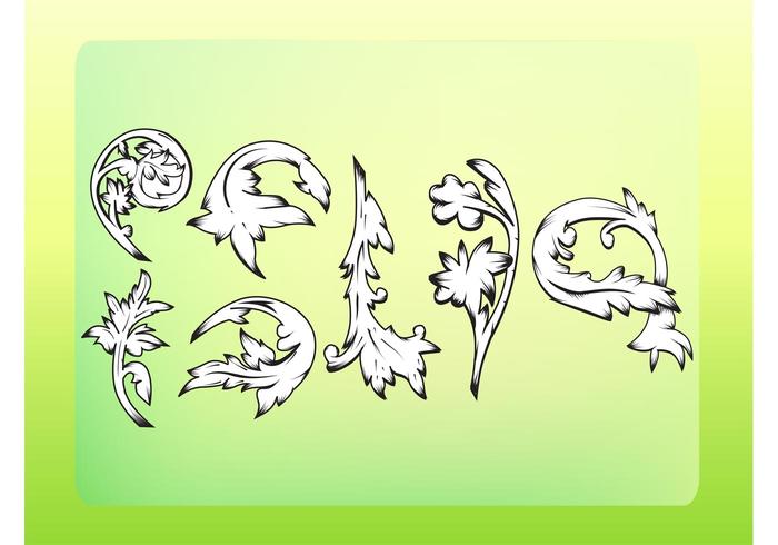Classic Ornament Vectors Classic Ornament Vectors