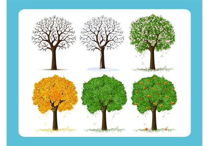 Free Vector Trees Free Vector Trees