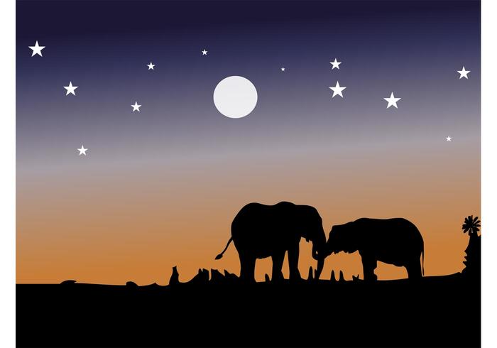 Elephant Love Vector Elephant Love Vector