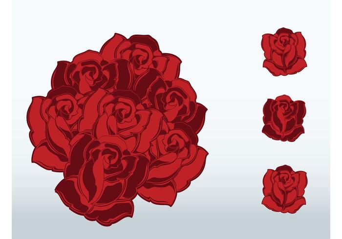 Romantic Roses Romantic Roses