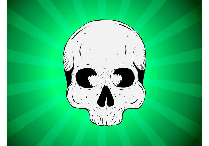 Absinthe Skull Absinthe Skull