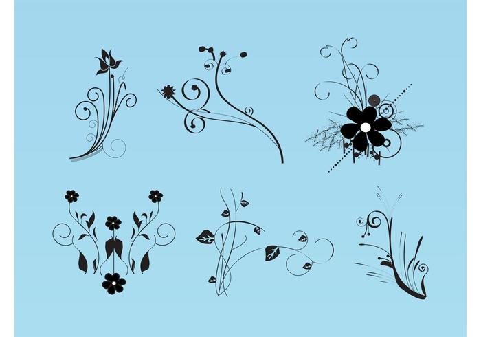 Beautiful Flowers Vector Images