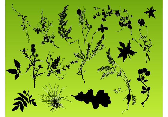 Plant Pack Plant Pack