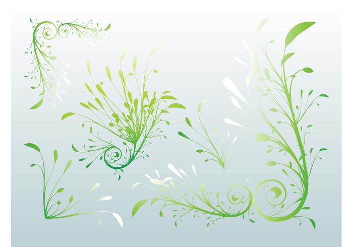 Delicate Plants Delicate Plants