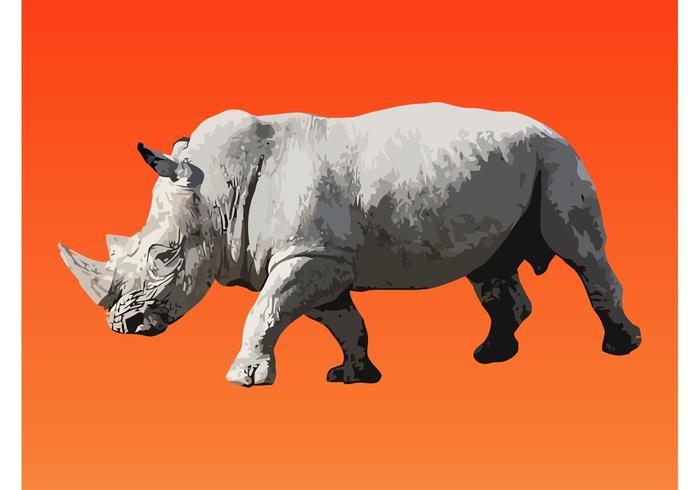 Walking Rhinoceros Vector Walking Rhinoceros Vector