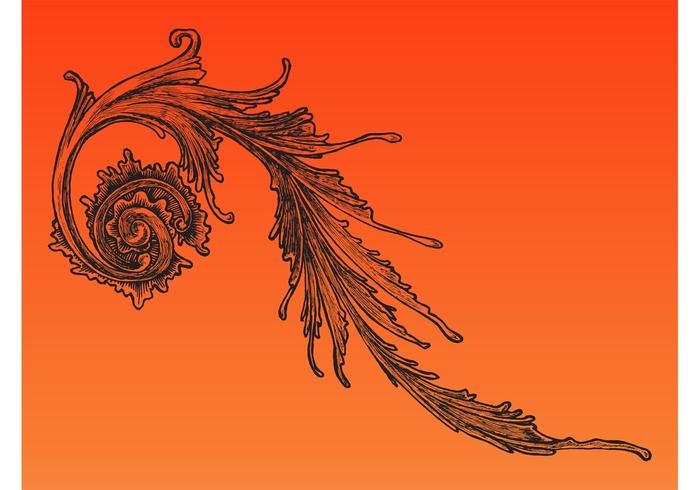 Floral Decorative Vector Floral Decorative Vector