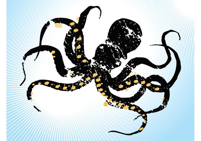 Sketchy Octopus Sketchy Octopus