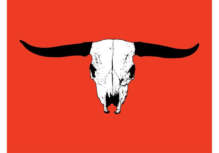 Bull Skull Vector Bull Skull Vector