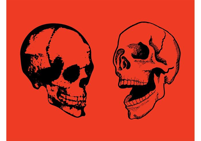 Happy Skulls Happy Skulls