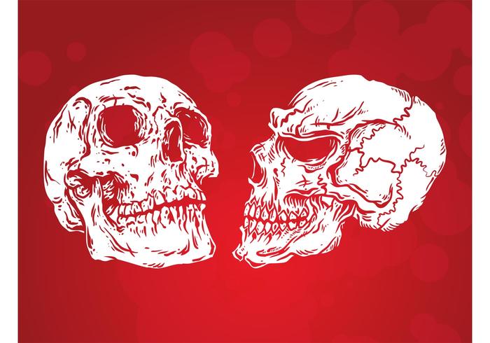 Simple Skulls Vector Simple Skulls Vector