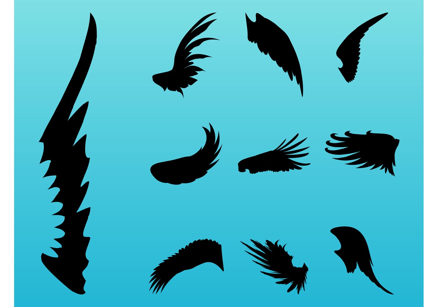 wings in flight download free vector art stock graphics wings in flight download free vector art stock graphics
