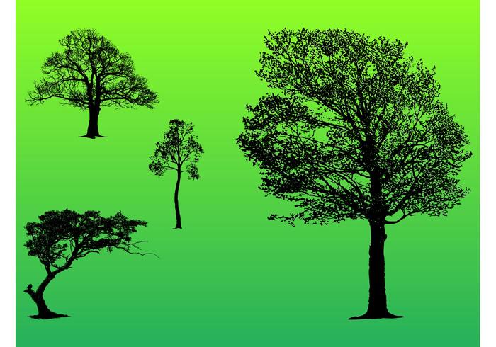 Vector Tree Pack Vector Tree Pack
