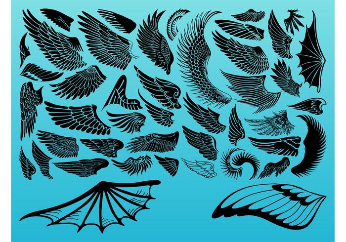 Vector Wings Vector Wings