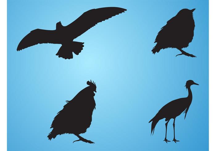 Bird Silhouettes Bird Silhouettes