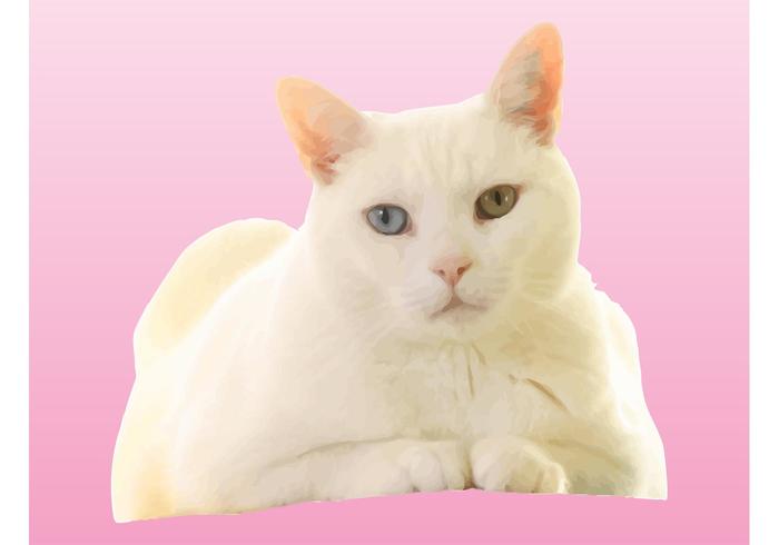 Realistic Cat Vector Realistic Cat Vector