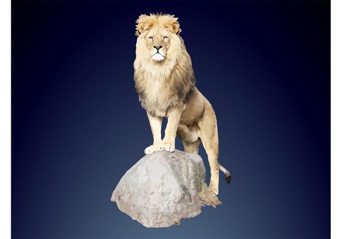 Vector Lion Vector Lion