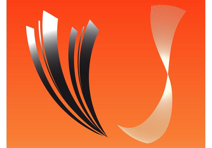 Decorative Vector Lines Decorative Vector Lines