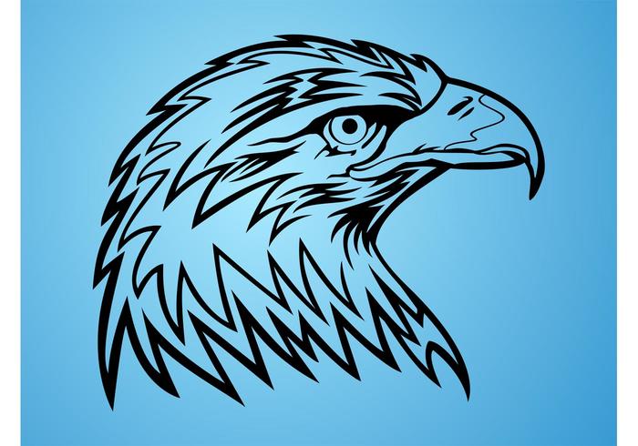 Eagle Head Eagle Head