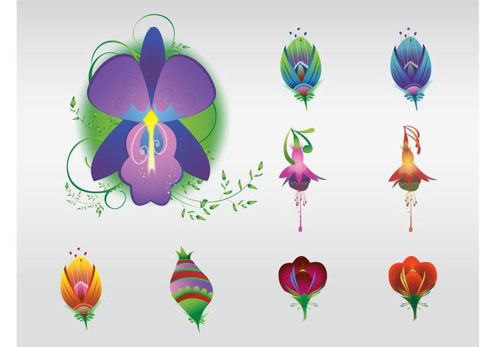 Glossy Flowers Glossy Flowers