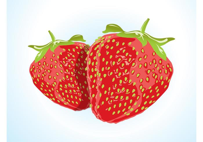 Strawberry Vector