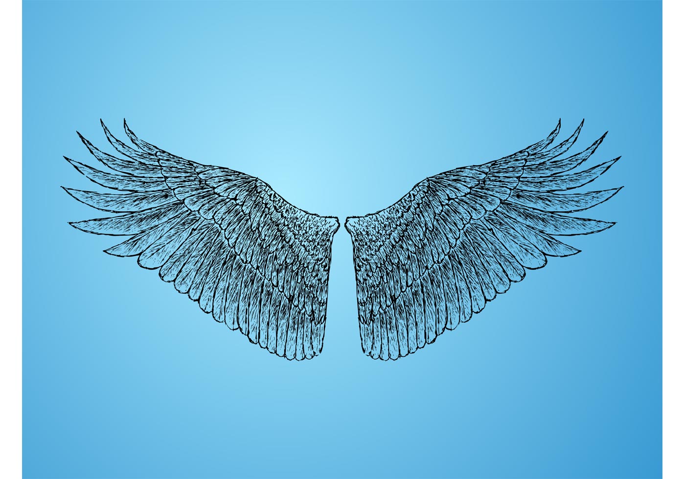 Download Bird Feather Free Vector Art - (3271 Free Downloads)