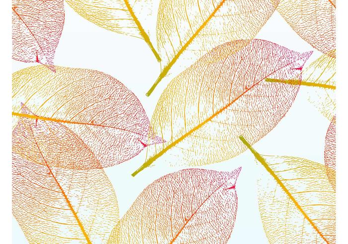 Pretty Autumn Leaves Pretty Autumn Leaves