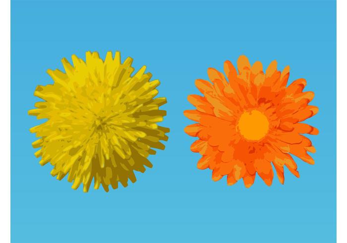 Vector Flower Designs Vector Flower Designs