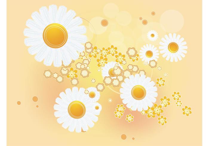 Daisy Background