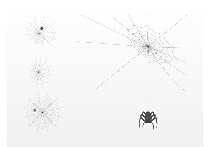 Spider Webs Spider Webs
