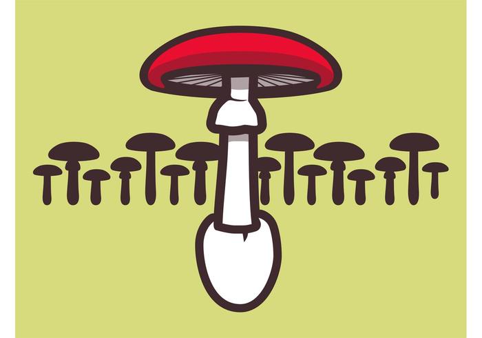 Vector Mushroom Vector Mushroom