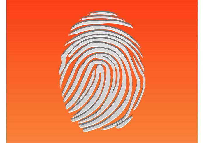Vector Fingerprint Vector Fingerprint