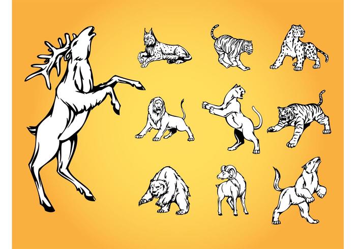 Vector Wild Animals Vector Wild Animals
