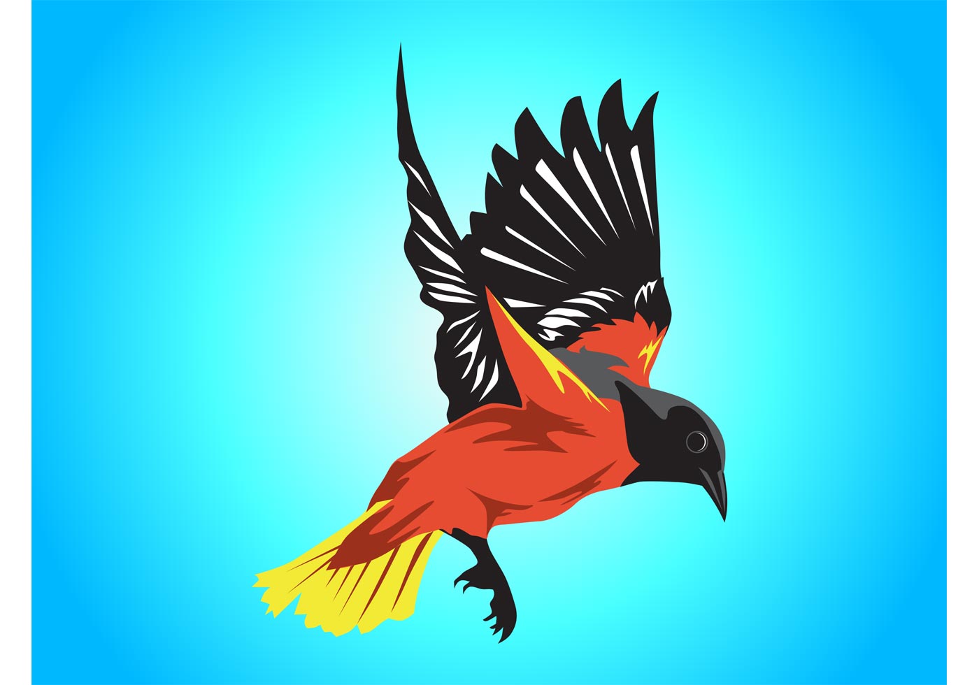 Colorful Bird - Download Free Vector Art, Stock Graphics & Images
