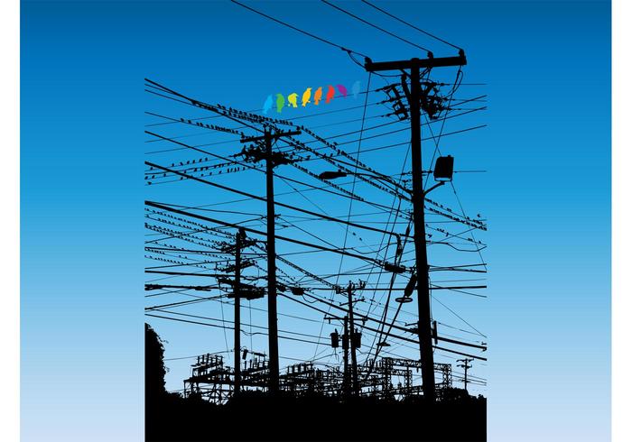 Rainbow Birds Rainbow Birds