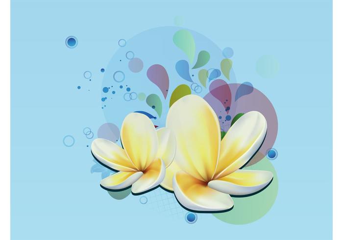 Plumeria Vector Plumeria Vector