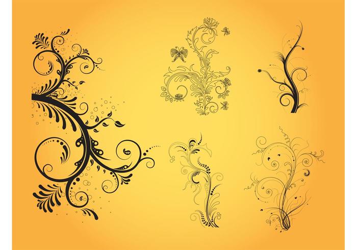 Floral Vector Designs Floral Vector Designs
