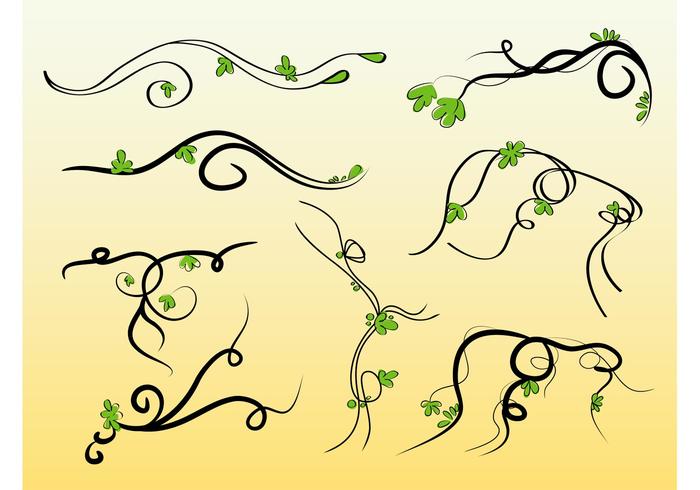 Vines Vectors Vines Vectors