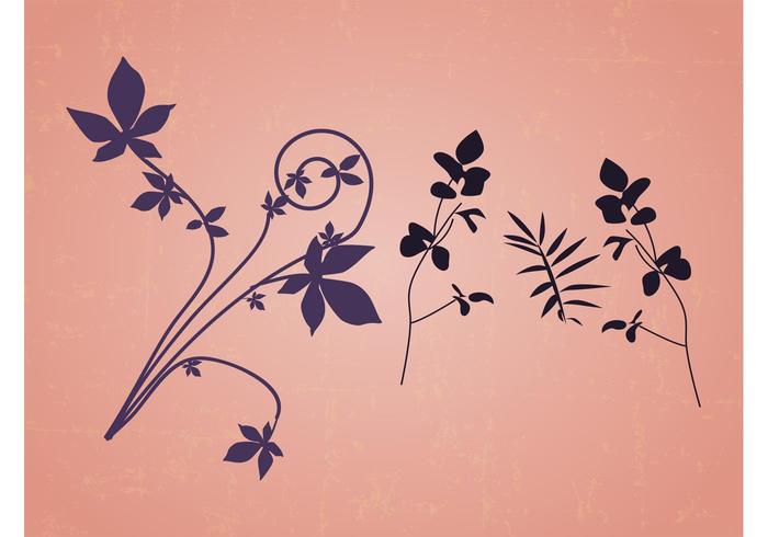 Floral Design Elements Floral Design Elements