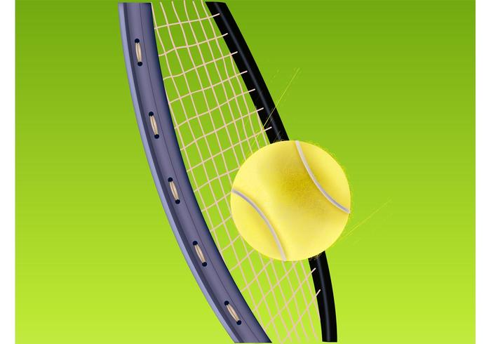 Tennis Vector Tennis Vector