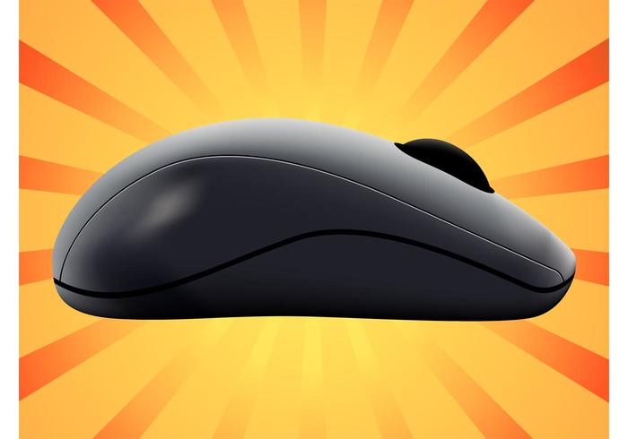 Computer Mouse Computer Mouse