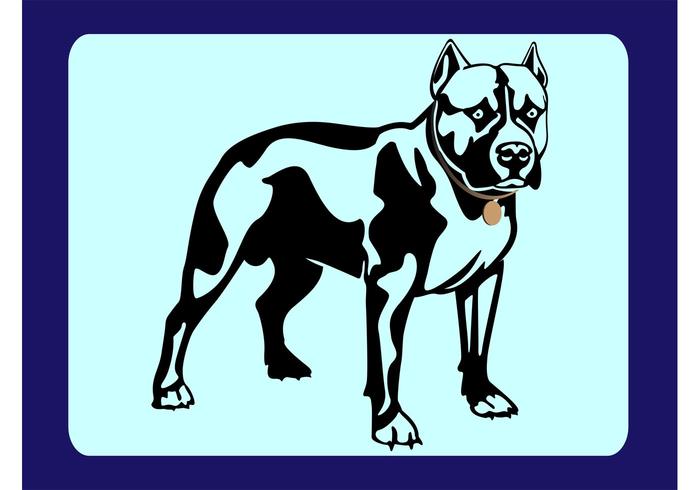 Pit Bull Vector Pit Bull Vector