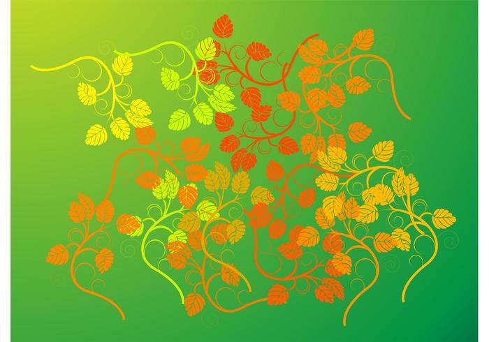 Leaves Vector Leaves Vector