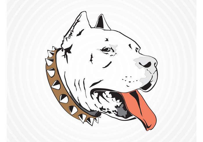 Pit Bull Pit Bull