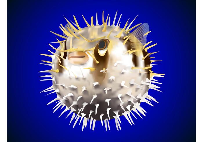 Puffer Fish Vector