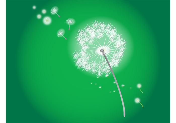 Blowing Dandelion Blowing Dandelion
