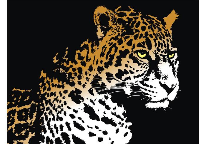 Vector Panther Vector Panther