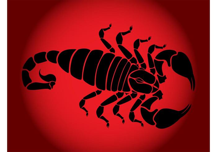 Scorpion Silhouette Scorpion Silhouette
