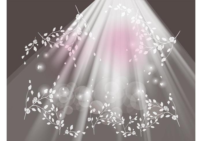 Lights And Flowers Lights And Flowers